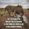 andreina3245