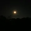 phanthienlong081112