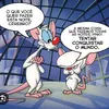 graa.carneiro6