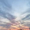 thesimpleperson1