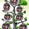 abdulqadirkhan29