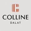 Hôtel Colline Dalat