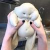 jorjorbinkssithlord