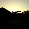 aminsyah62