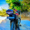 jerry_4243