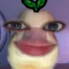 z_xhs2