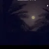 llfaida