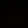 pforrpiaa21_