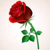 joel_mago