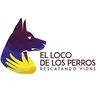 ellocodelosperros