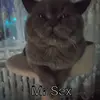 mrsexcat