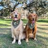 chaseandcooper