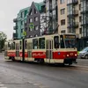 deniskozlov20