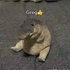 gregthecrocodiles