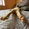 oliver_pie