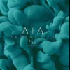 aiaaestheticsbyi_h