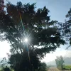 sentirrefletir0