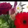 hdlssysnsshsbsk2gshskab0