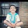 laautyedlp