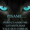 user599194476