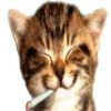 its__maytee__