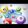 bingo_mania8