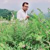 alijanswati20