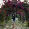 enailraena