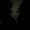 soloartem_xx11