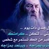 user424335861