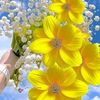 user562205432aamjad