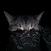 c8..j