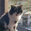 ninani.na