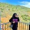 nuryhesy