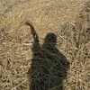 _patrunka.marunka_