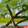 awa.ndiayeba