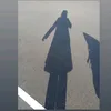 ani_muk123