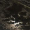 abr_795
