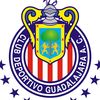 goq082