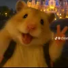 zepanieeee