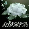 aliqasim297