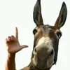 goat____lm10