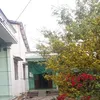 thuhanguyen90