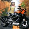 gamerplay510