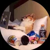 n_tmnh