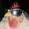 _rzkibstian_