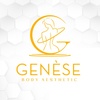 genesebodyclinic