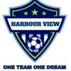 Harbour View FC💙🖤⚽️