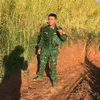 phongjzjs