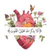 tahar2706